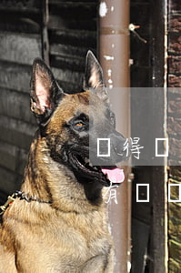 沒得財產(chǎn)起訴離婚花多少錢(沒有財產(chǎn)請律師起訴離婚需要多少錢)