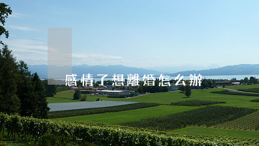 沒感情了想離婚怎么辦