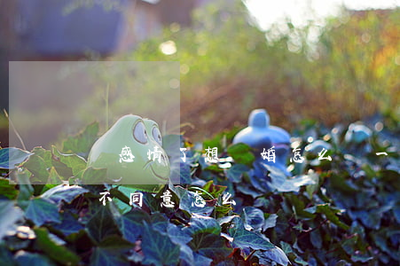 沒感情了想離婚怎么辦一方不同意(離婚,一方不同意怎么辦)