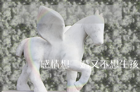 沒感情想離婚又不想生孩子怎么辦