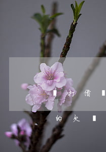 沒打借條但是對方離婚了怎么辦(離婚對方打的欠條有效嗎)
