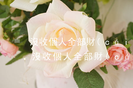 沒收個人全部財(cái)產(chǎn)(沒收個人全部財(cái)產(chǎn)包括住房嗎)