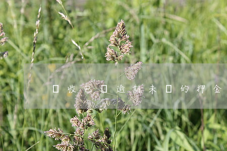 沒收包裝逾期未還的押金的意思-