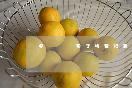 沒收財產適用于哪些犯罪