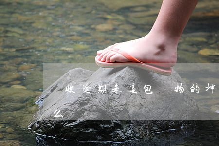 沒收逾期未退包裝物的押金時(shí)怎么記賬