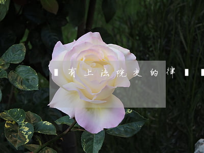 沒有上法院交的律師費可以退嗎