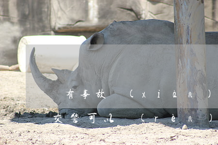 沒有事故現(xiàn)場(chǎng)交警可以認(rèn)定嗎