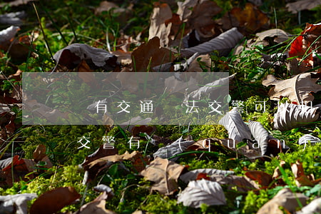 沒有交通違法交警可以扣駕駛證嗎(無證駕駛交警有權(quán)扣車嗎)