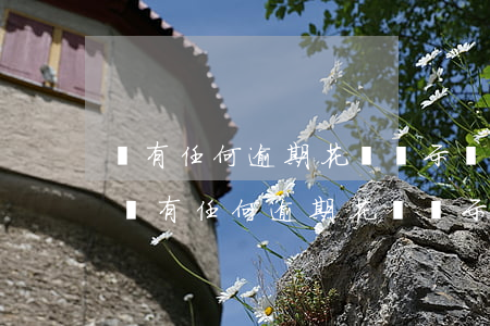 沒有任何逾期花唄顯示無(wú)法使用-沒有任何逾期花唄顯示無(wú)法使用怎么回事