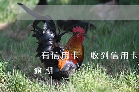沒有信用卡卻收到信用卡逾期(不小心信用卡逾期)