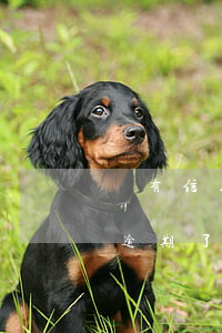 沒有信用卡怎么就逾期了 沒有信用卡怎么就逾期了一天