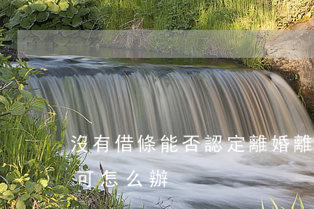 沒有借條能否認定離婚(離婚時借條一方不認可怎么辦)