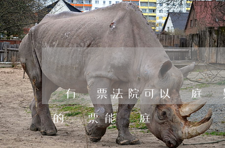 沒有傳票法院可以開庭嗎(如果沒有收到法院的傳票能開庭嗎)