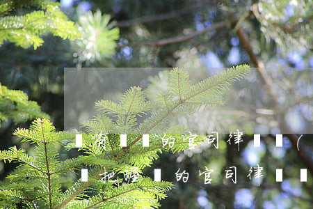 沒有勝訴的官司律師會(huì)打嗎(完全沒把握贏的官司律師會(huì)接嗎)