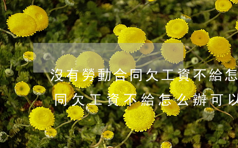 沒有勞動合同欠工資不給怎么辦(沒有勞動合同欠工資不給怎么辦可以隨時不干嗎)