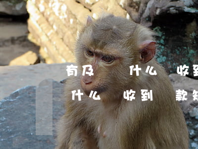 沒有及貸為什么會收到還款短信-沒有及貸為什么會收到還款短信提醒