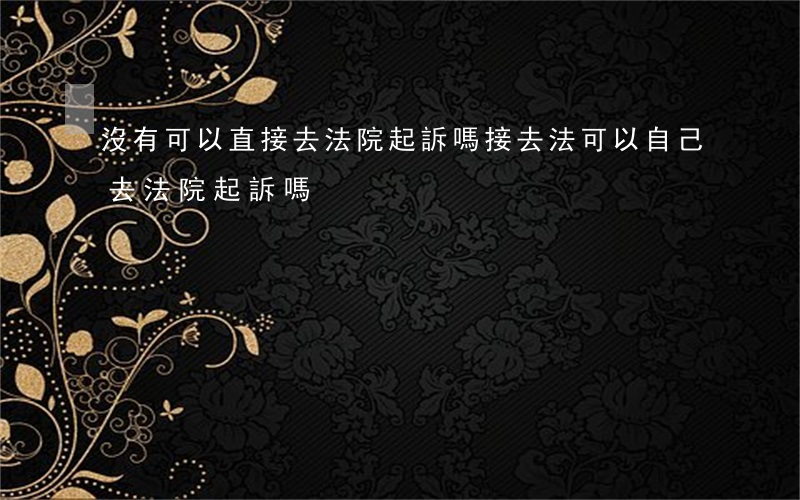 沒有可以直接去法院起訴嗎接去法(可以自己去法院起訴嗎)
