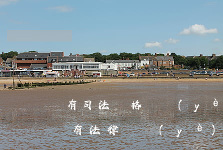 沒有司法資格從業(yè)證可以干律師嗎(沒有法律職業(yè)資格證書可以做律師嗎)