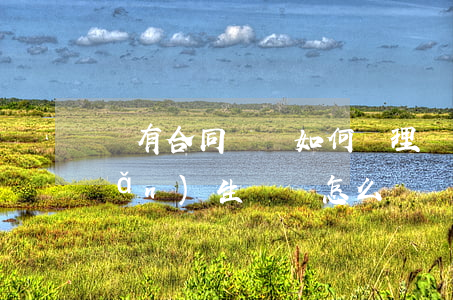 沒有合同糾紛如何處理(無合同合作產(chǎn)生糾紛怎么辦)