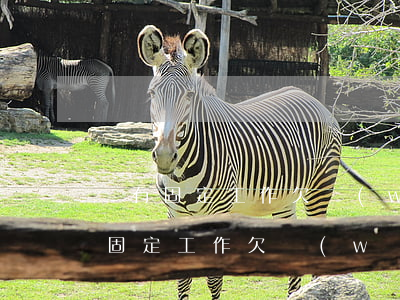 沒有固定工作欠網(wǎng)貸8萬(沒有固定工作欠網(wǎng)貸8萬)