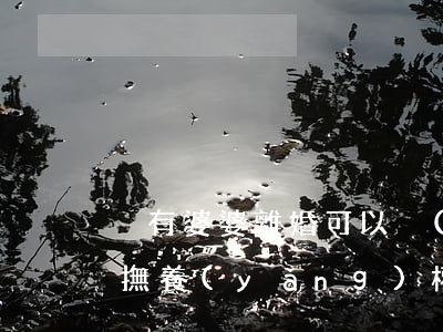 沒有婆婆離婚可以爭(zhēng)取孩子撫養(yǎng)權(quán)(沒有婆婆離婚可以爭(zhēng)取孩子撫養(yǎng)權(quán))
