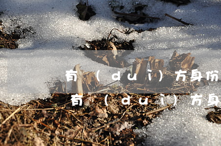 沒有對(duì)方身份證可以起訴嗎(借錢沒有對(duì)方身份證可以起訴嗎)