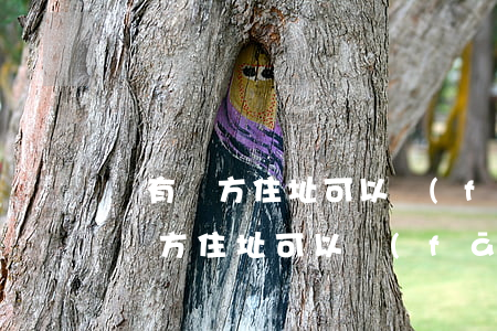 沒有對方住址可以發(fā)律師函嗎(沒有對方住址可以發(fā)律師函嗎)