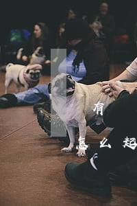 沒有對方姓名怎么起訴(不知道對方真實姓名怎么起訴)
