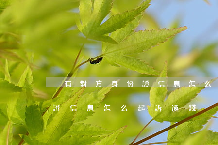 沒有對方身份證信息怎么起訴(沒有對方身份證信息怎么起訴還錢)