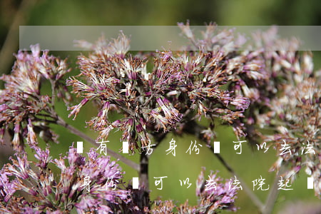 沒有對方身份證可以去法院起訴嗎(沒有對方身份證可以去法院起訴嗎)
