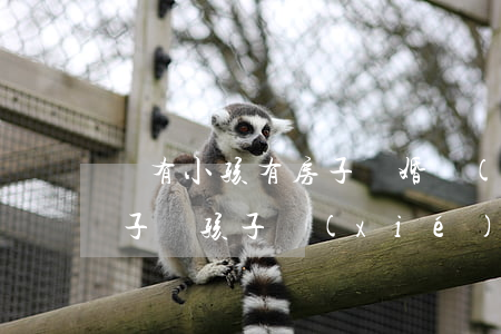 沒有小孩有房子離婚協(xié)議(離婚房子歸孩子協(xié)議)