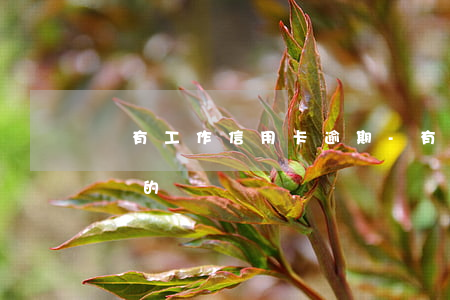 沒有工作信用卡逾期-有沒有信用卡逾期沒還的