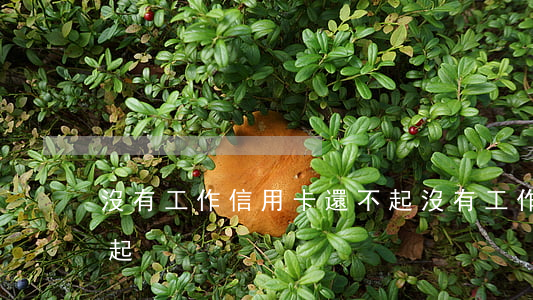 沒有工作信用卡還不起(沒有工作信用卡還不起)