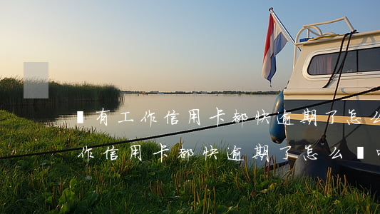 沒有工作信用卡都快逾期了怎么辦-沒有工作信用卡都快逾期了怎么辦呢