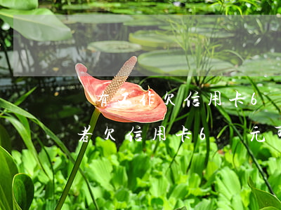 沒有工作欠信用卡6萬會怎樣，無業(yè)者欠信用卡6萬元：可能面臨的后果和解決方案