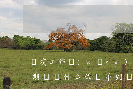 沒有工作網(wǎng)貸全部逾期(我沒逾期過為什么我貸不到網(wǎng)貸)
