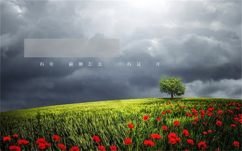 沒有年報逾期怎么辦(沒有及時年報)