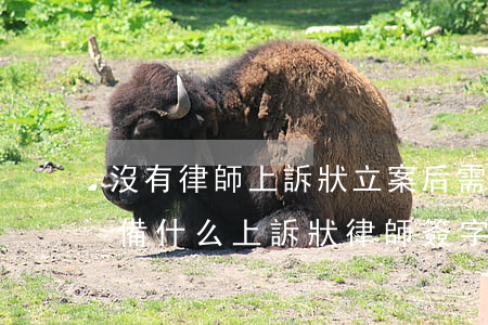 沒有律師上訴狀立案后需要準(zhǔn)備什么(上訴狀律師簽字是否有效)