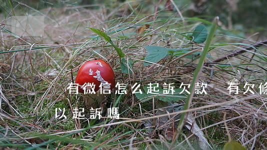 沒有微信怎么起訴欠款(沒有欠條微信記錄可以起訴嗎)