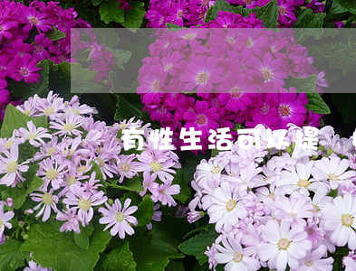 沒有性生活可以提離婚嗎