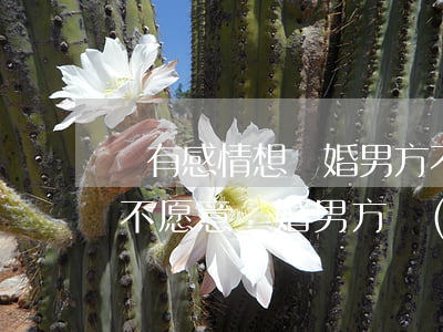 沒有感情想離婚男方不同意怎么辦(如果對方不愿意離婚,男方應(yīng)該怎么辦)