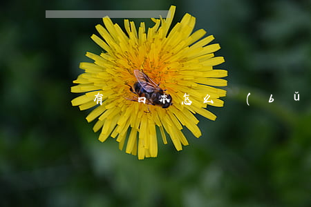 沒有戶口本怎么補(bǔ)辦身份證