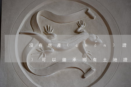 沒有房產(chǎn)證的房產(chǎn)可以繼承嗎(有土地證沒有房產(chǎn)證能繼承嗎)