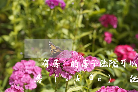 沒有房證的房子法院可以查封嗎(房子還沒辦房產(chǎn)證,法院能不能封)