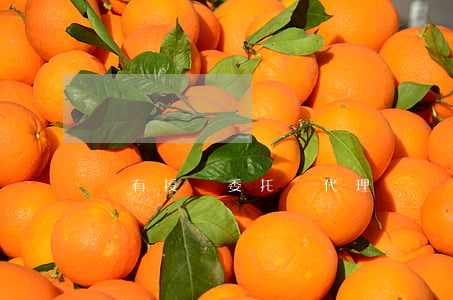 沒有授權委托書代理簽訂合同,是否有效