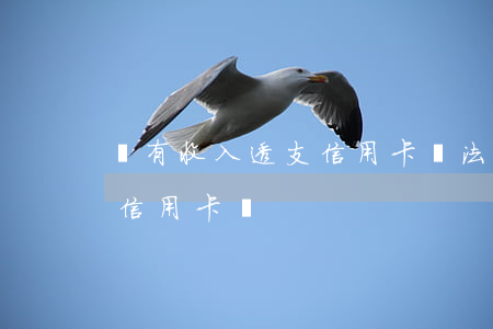 沒有收入透支信用卡違法嗎(沒有收入能辦理信用卡嗎)