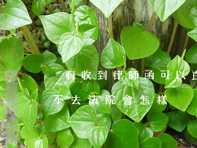 沒有收到律師函可以直接起訴嗎(收到律師函不去法院會怎樣)