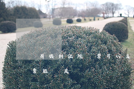 沒有收到法院傳票可以直接開庭嗎(沒收到傳票能開庭嗎)