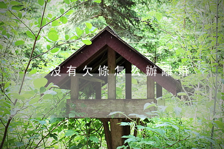 沒有欠條怎么辦離婚