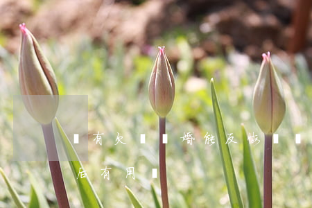 沒有欠條離婚能反悔嗎(離婚前寫的欠條離婚后有用嗎)